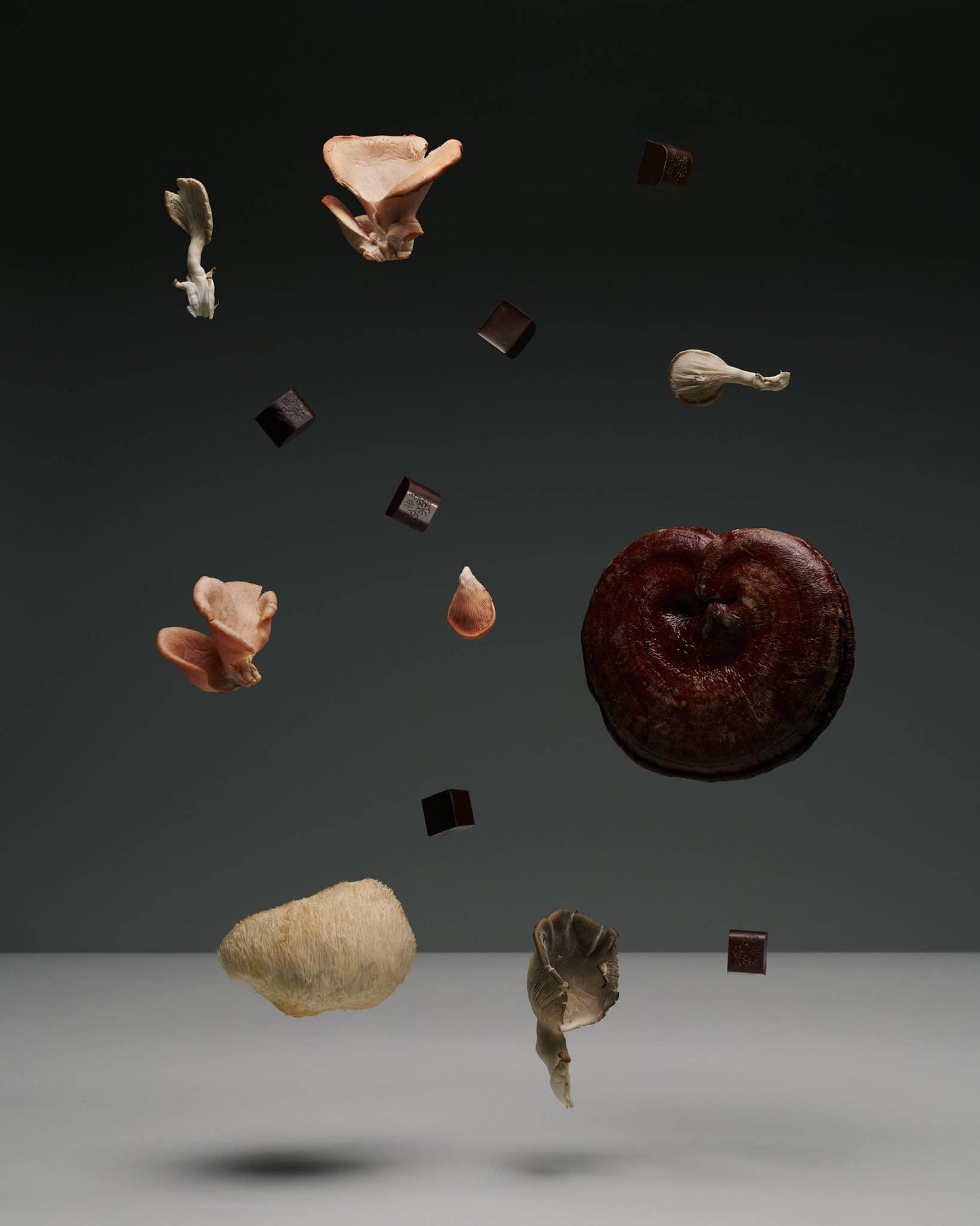 NOON Chocolate Delights β’ In The Zone