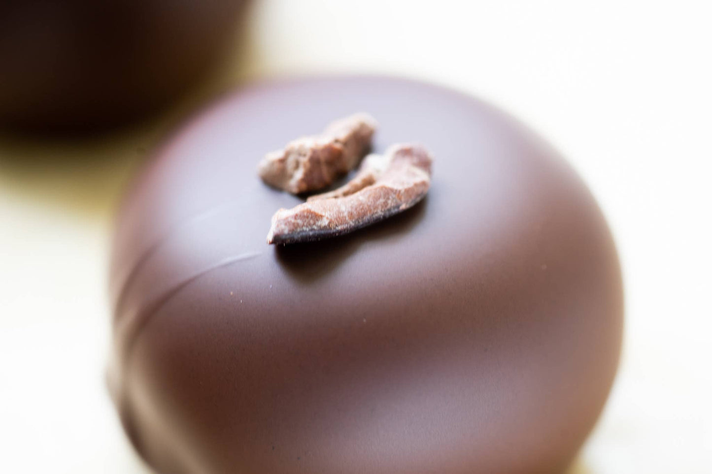 Baceae Dark Chocolate Truffle w/broad spectrum hemp