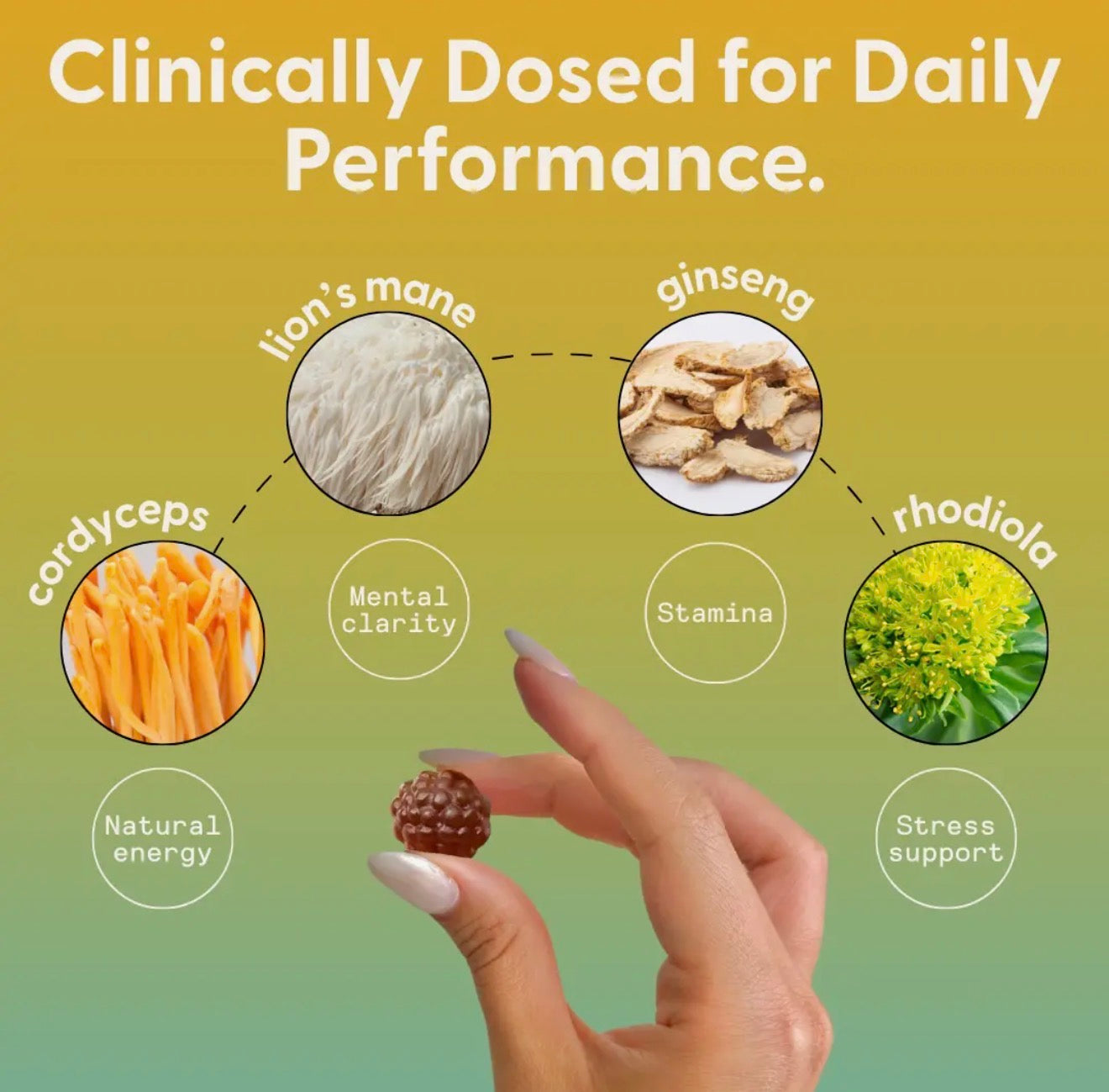 SuperMush - Daily Energy Gummies