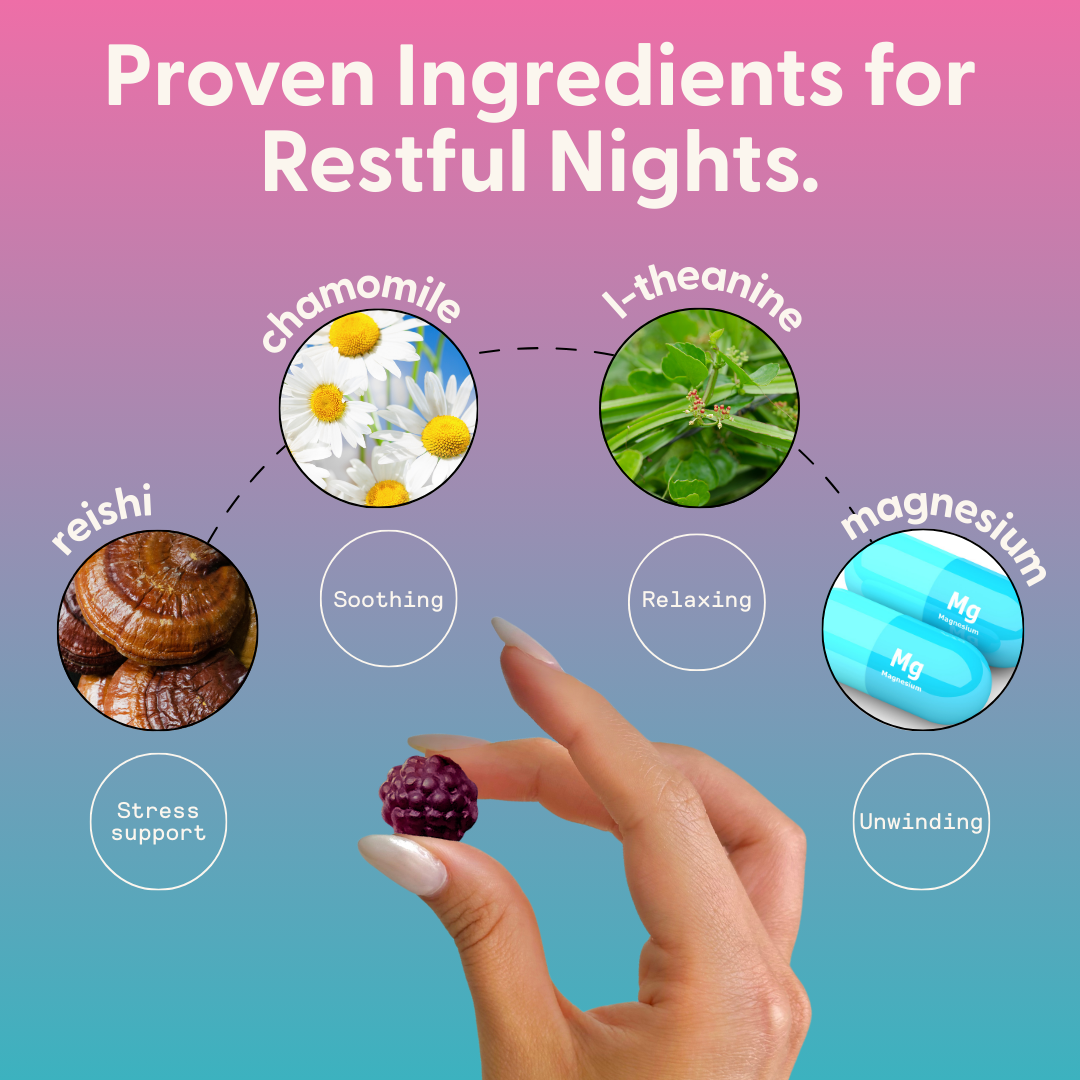 Daily Sleep Gummies 10 Count