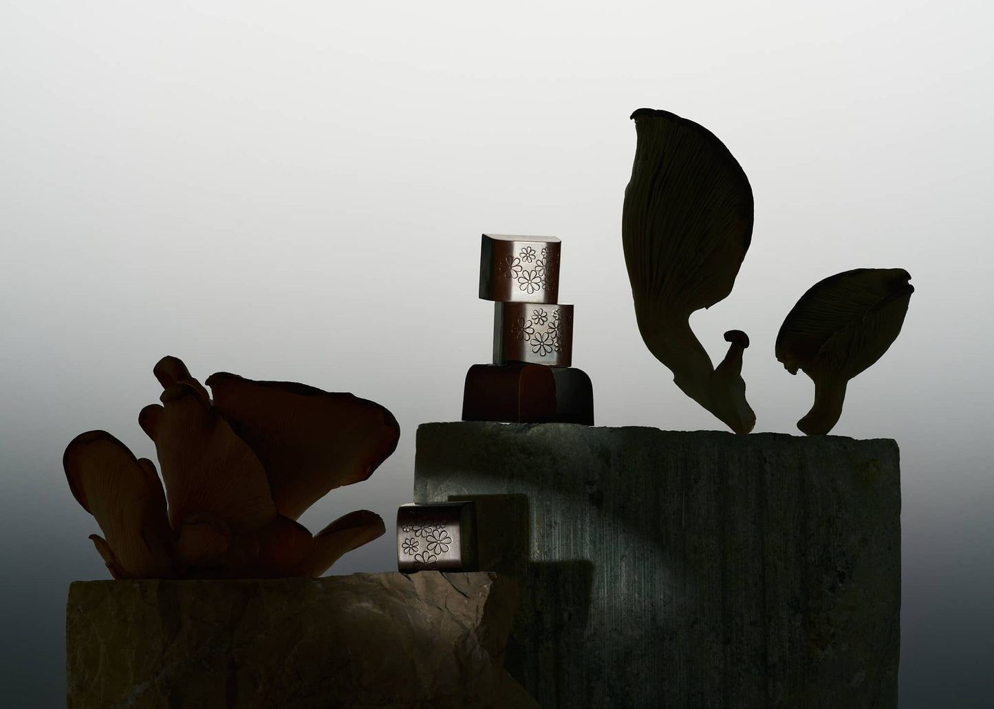 NOON Chocolate Delights • In The Zone