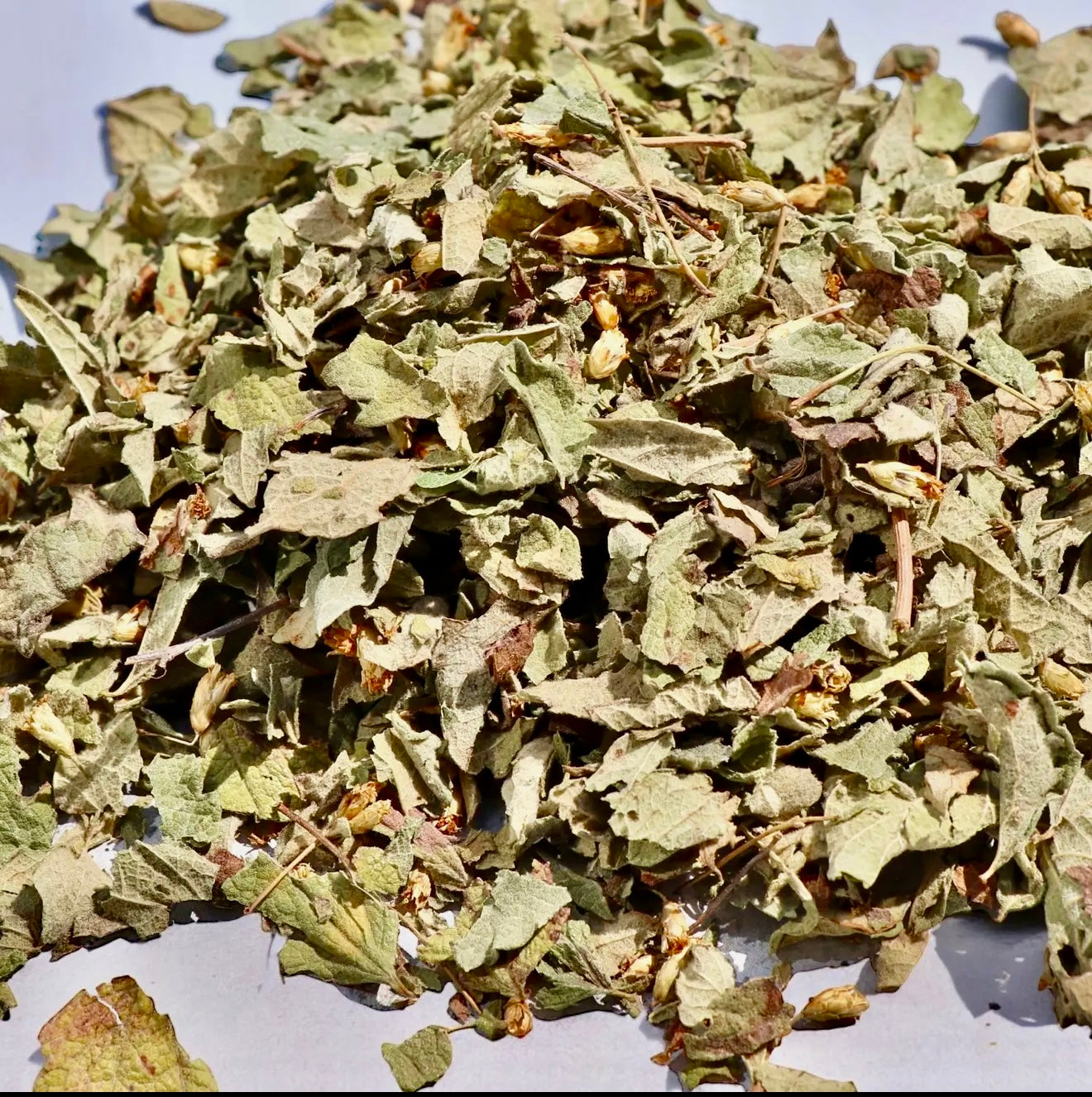 Mexican Dream Herb Smoke or Brew