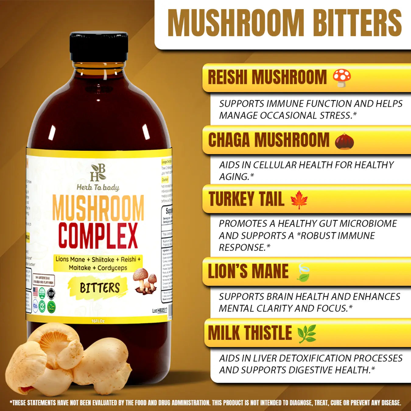 Mushroom Complex Bitters – 16oz | Immunity, Vitality
