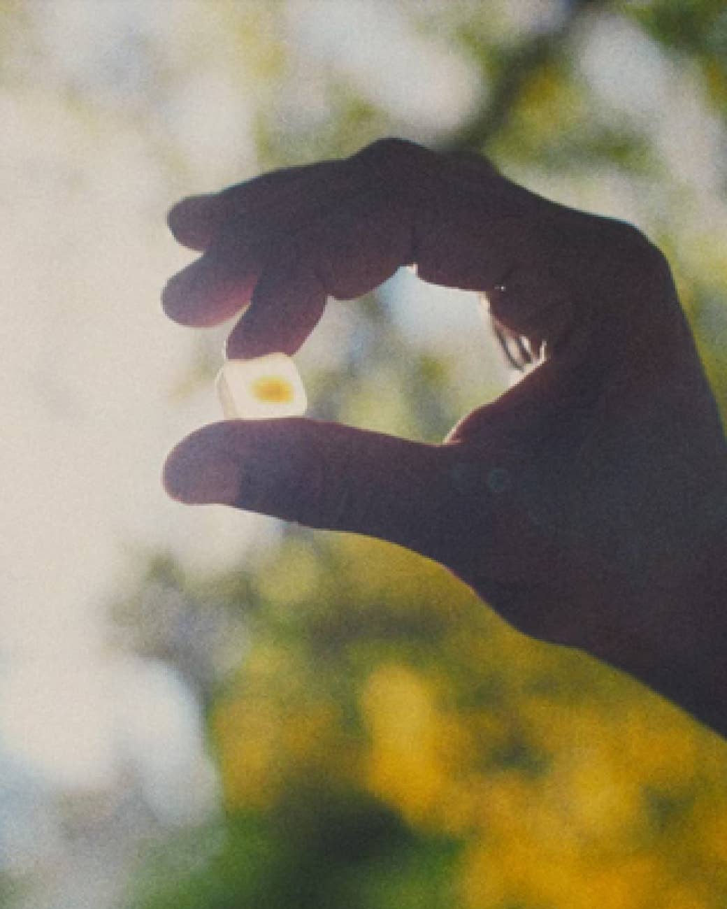 NOON Chill Mushroom Gummy Delights