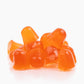 WonderFocus - Super Mushroom Gummies