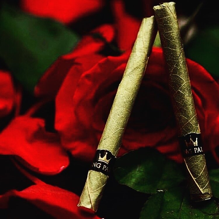 Blue Lotus | Sacred Lady Flower Smoke