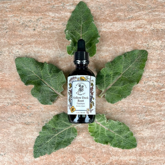 Z Botanicals & Hemp Co./ Tincture/ Yellow Dock Root