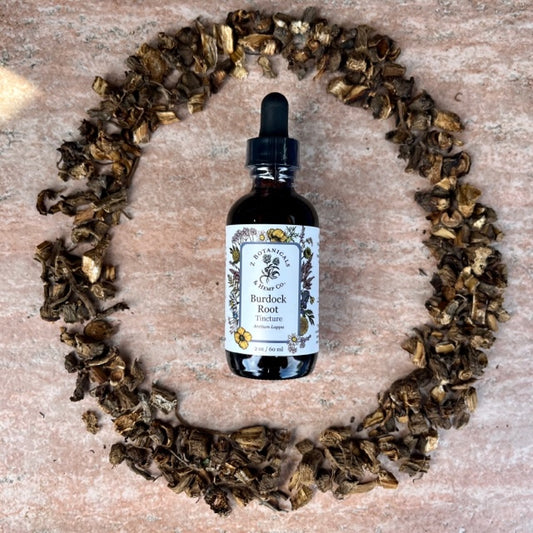 Burdock Root Z Botanicals