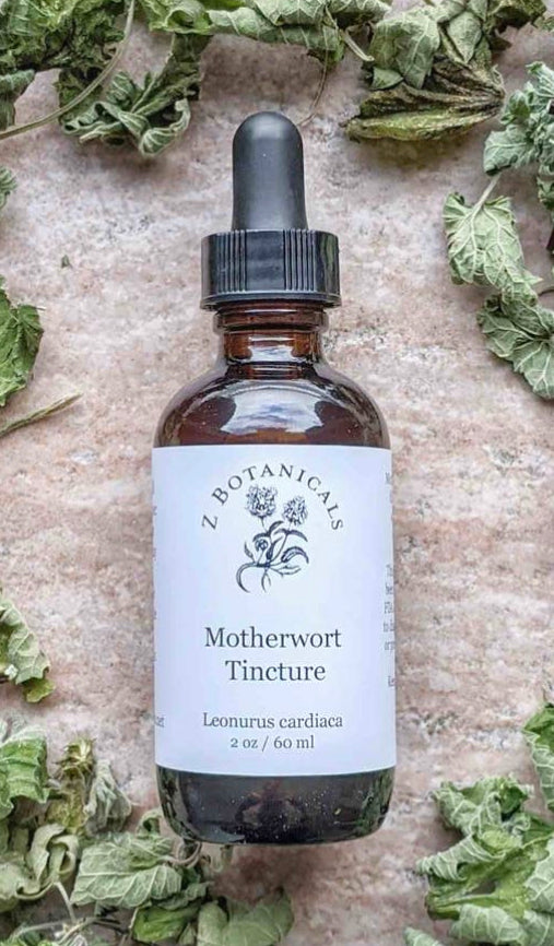 Motherwort Z Botanicals